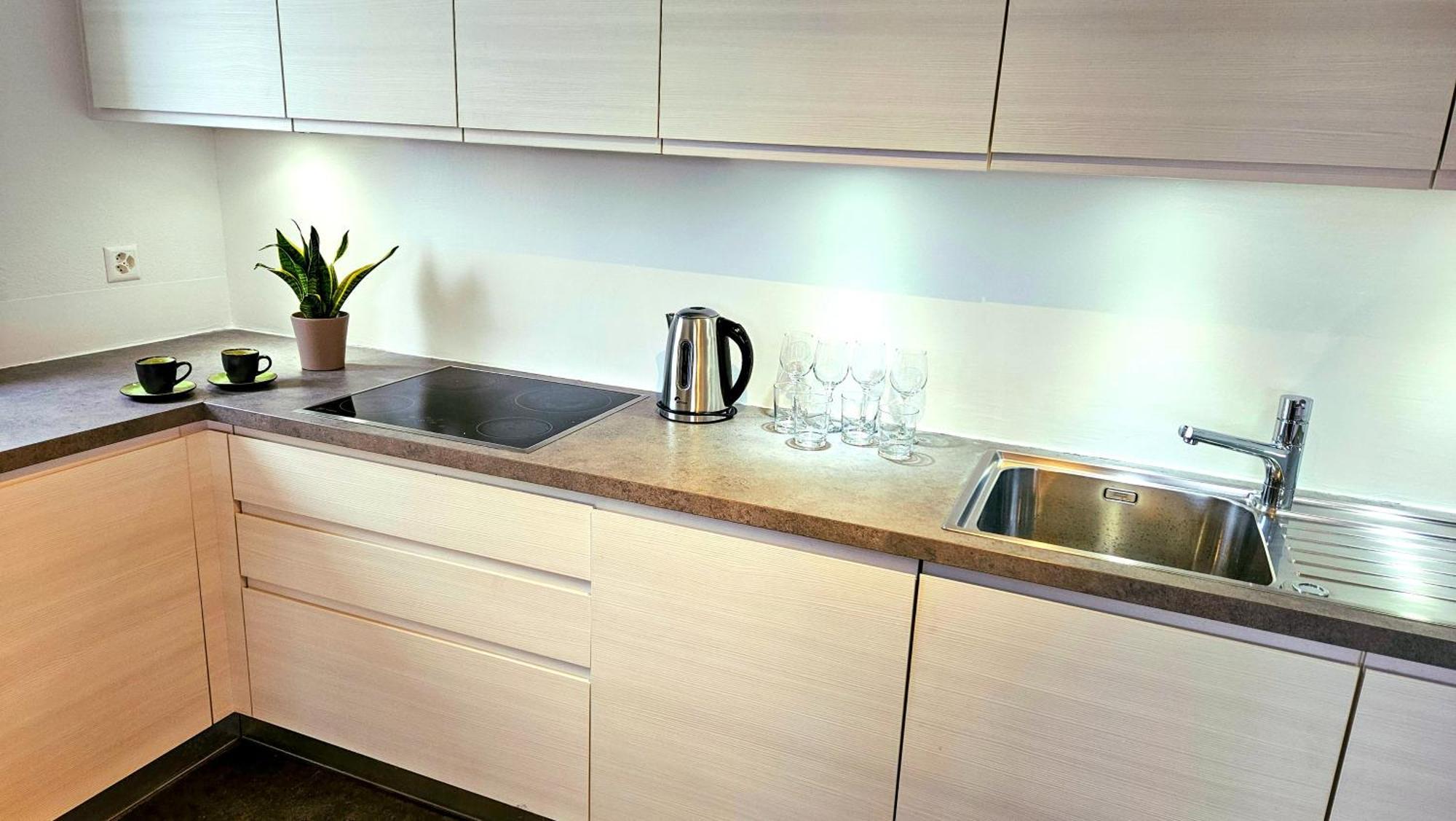 Bellavista Apartment With Free Parking Lugano Exterior photo